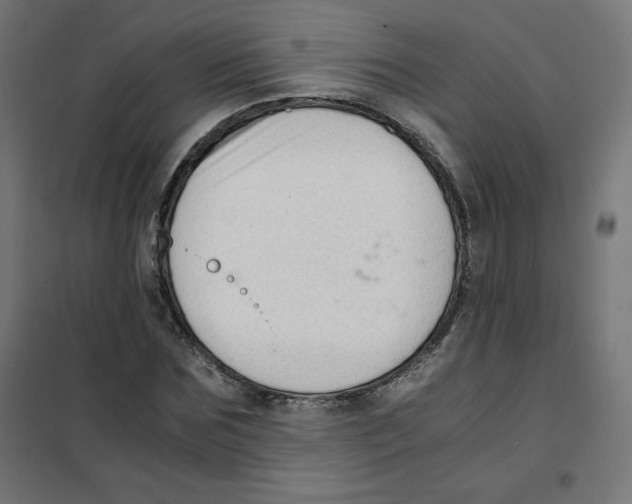 X0000101660875200808071019