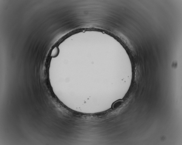 X0000101660876200808071019