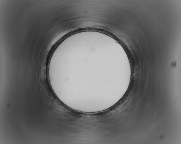 X0000101660877200808071019