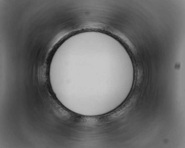 X0000101660878200808071019
