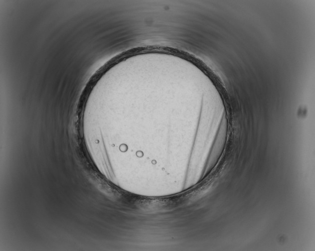 X0000101660879200808071019