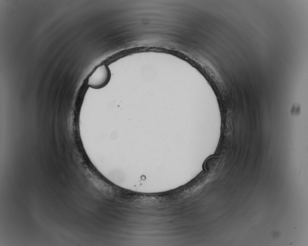 X0000101660880200808071019