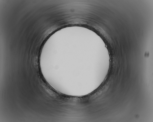 X0000101660881200808071019
