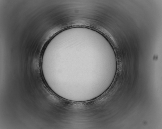 X0000101660882200808071019