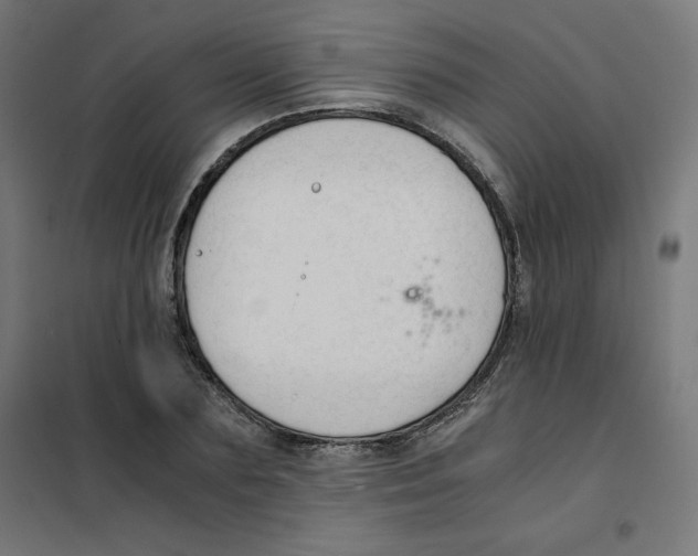 X0000101660883200808071019