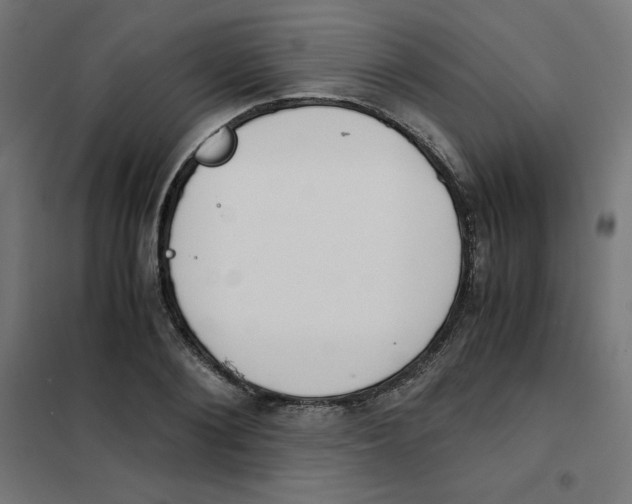 X0000101660884200808071019