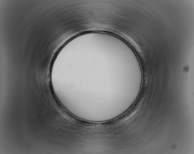 X0000101660885200808071019