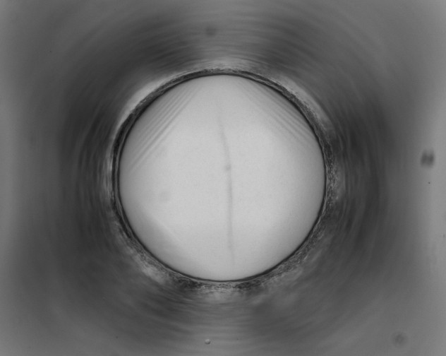 X0000101660886200808071019