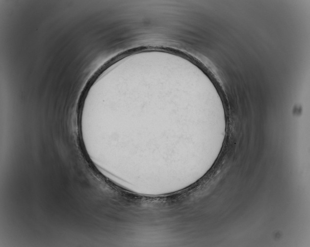X0000101660887200808071019