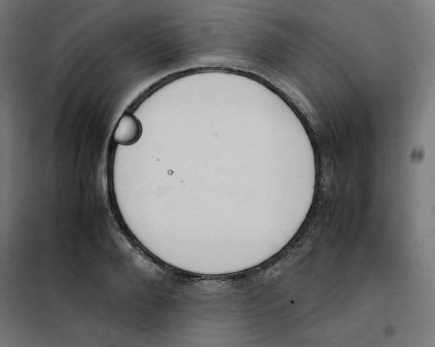 X0000101660888200808071019