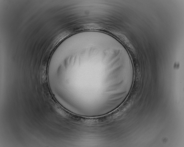 X0000101660889200808071018