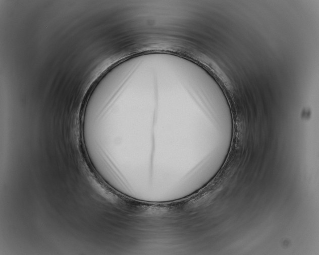X0000101660890200808071018