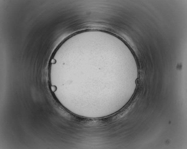 X0000101660891200808071018