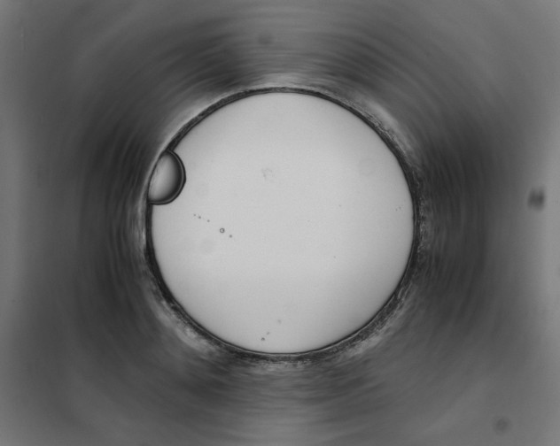 X0000101660892200808071018