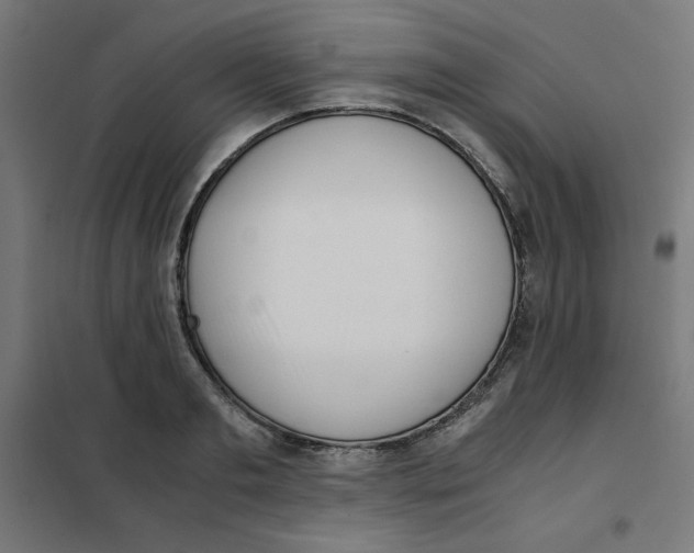 X0000101660893200808071018