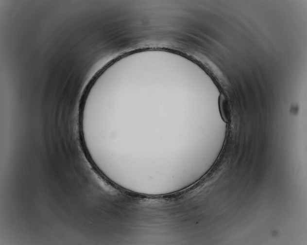 X0000101660894200808071018