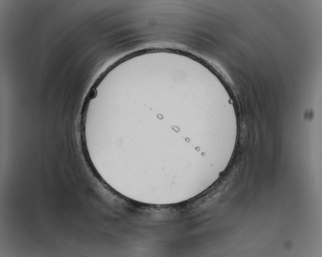 X0000101660895200808071018