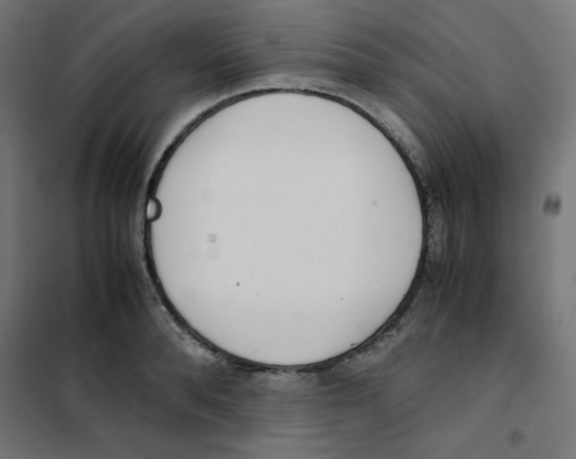 X0000101660896200808071018