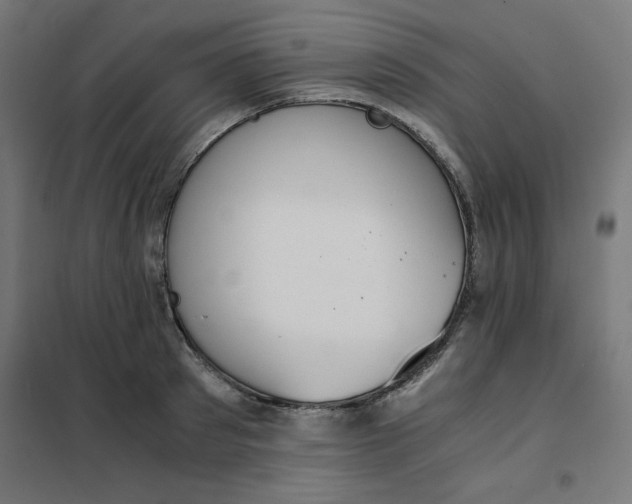 X0000101660897200808071018