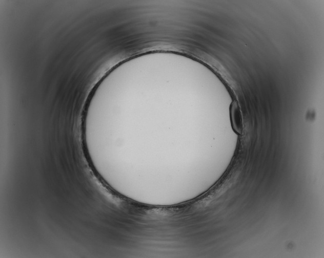 X0000101660898200808071018