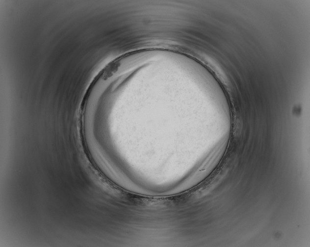 X0000101660899200808071018