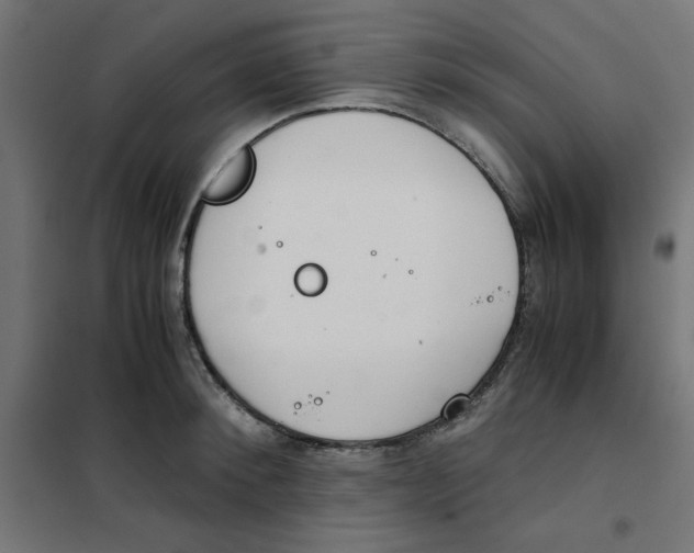 X0000101660900200808071018