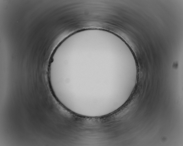 X0000101660901200808071018