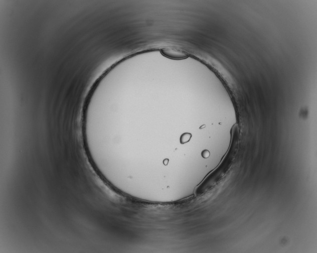 X0000101660902200808071018