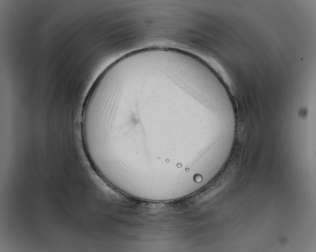 X0000101660903200808071018