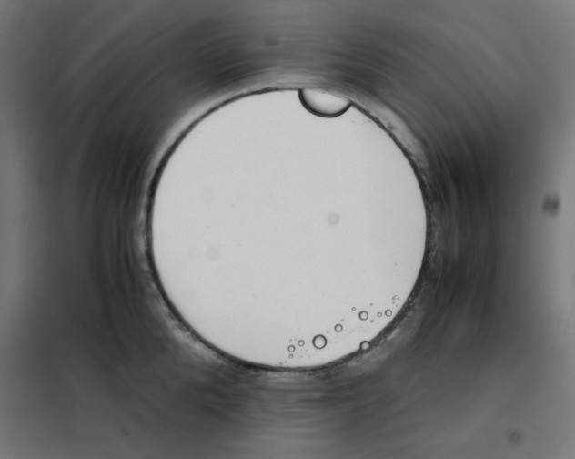 X0000101660904200808071018
