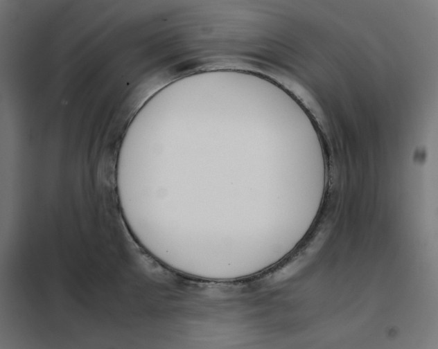 X0000101660905200808071018