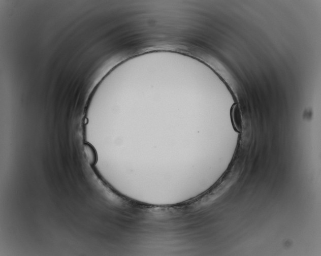 X0000101660906200808071018