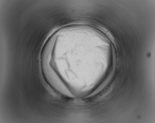 X0000101660907200808071018