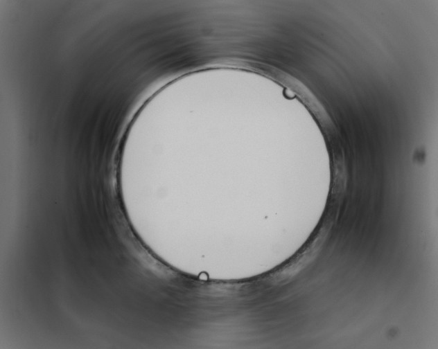 X0000101660908200808071018
