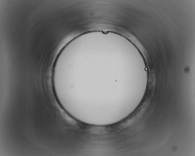 X0000101660909200808071018
