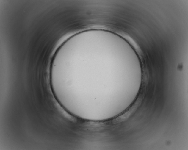 X0000101660910200808071018