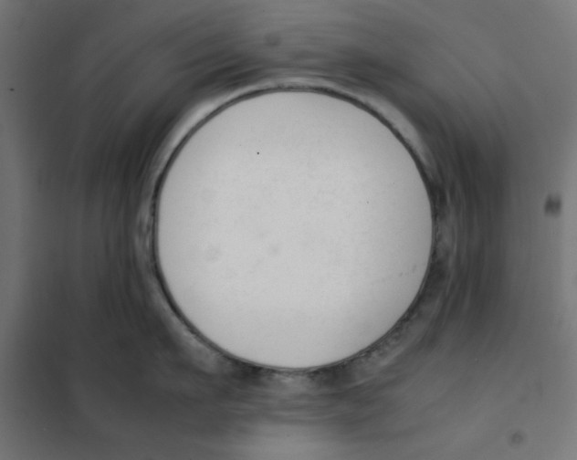 X0000101660911200808071018