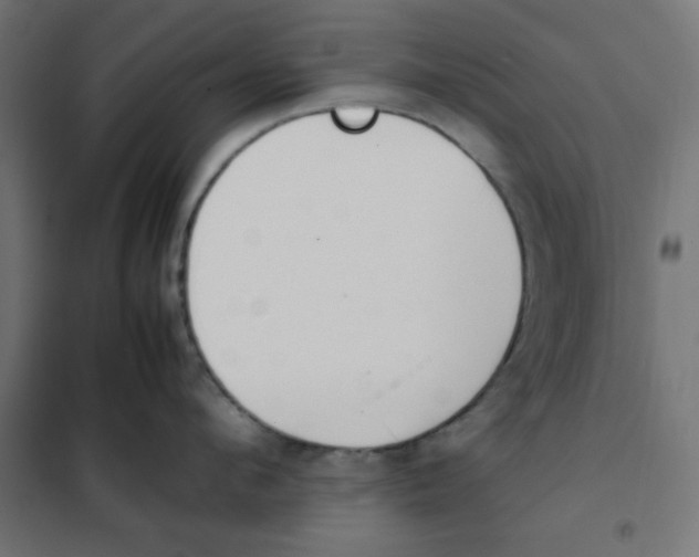 X0000101660912200808071018