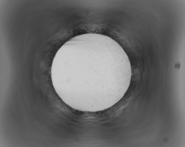 X0000101660913200808071017
