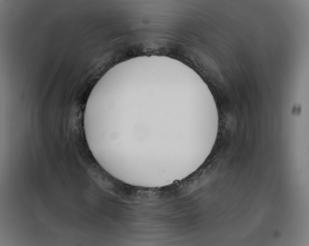 X0000101660914200808071017