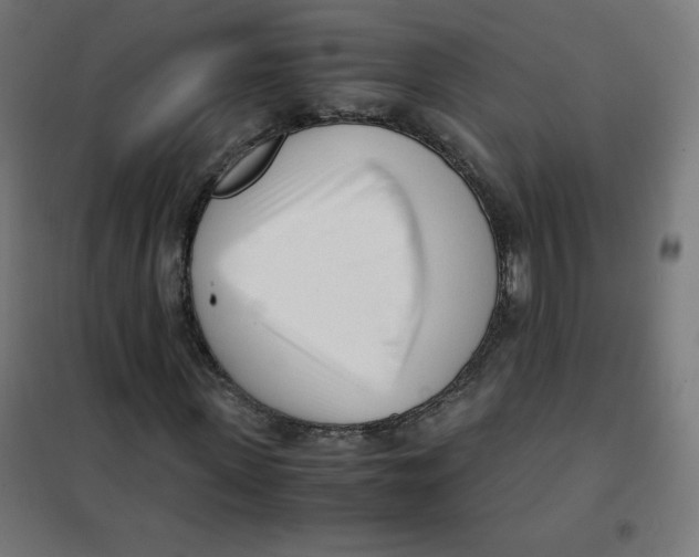 X0000101660915200808071017