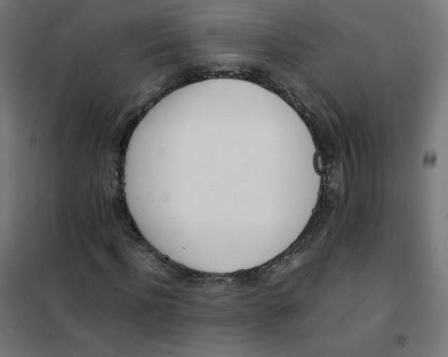 X0000101660916200808071017