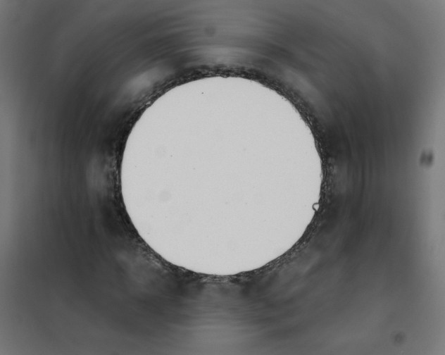 X0000101660918200808071017