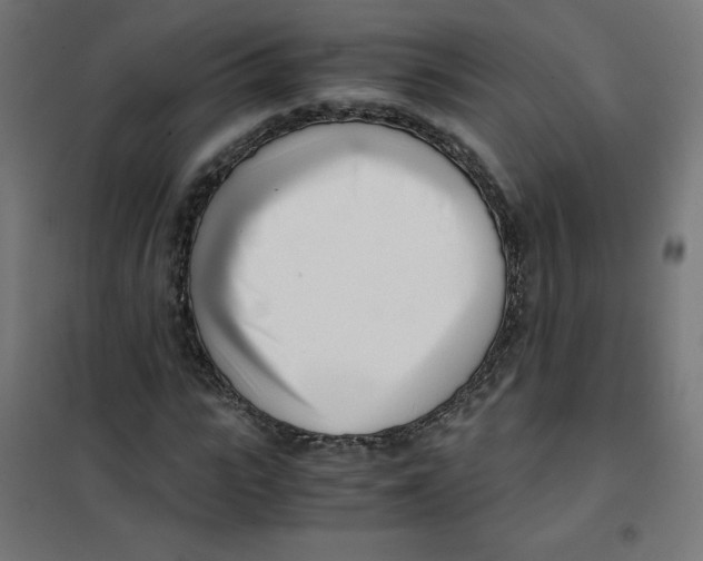 X0000101660919200808071017