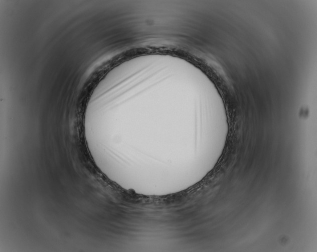 X0000101660920200808071017