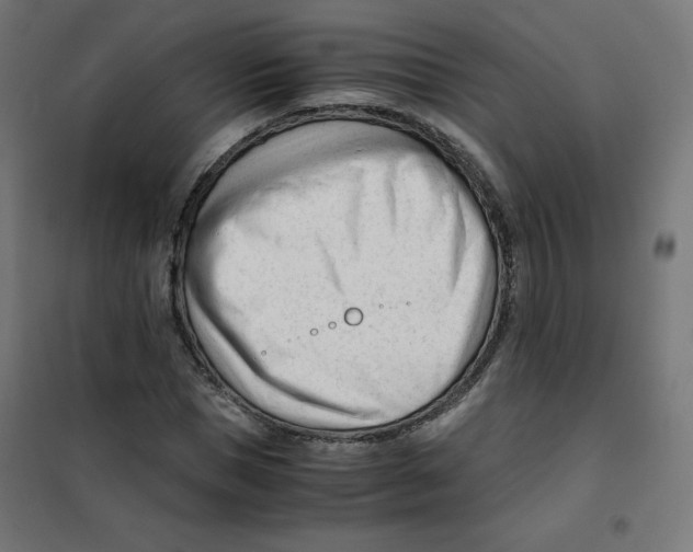 X0000101660921200808071017