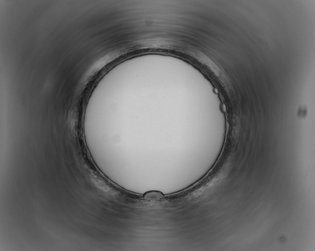 X0000101660922200808071017