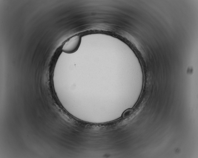 X0000101660923200808071017
