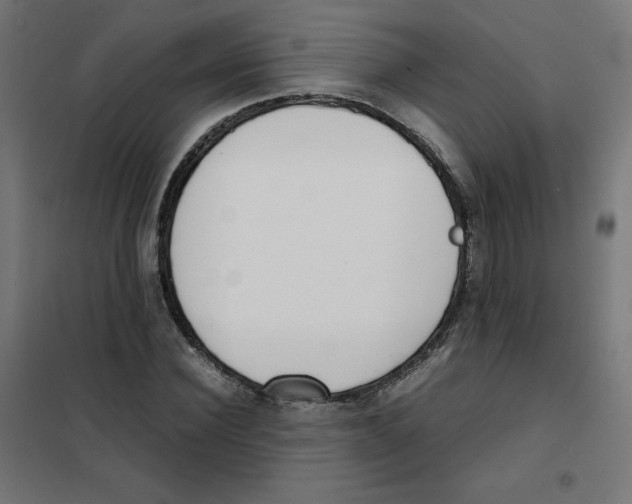X0000101660924200808071017