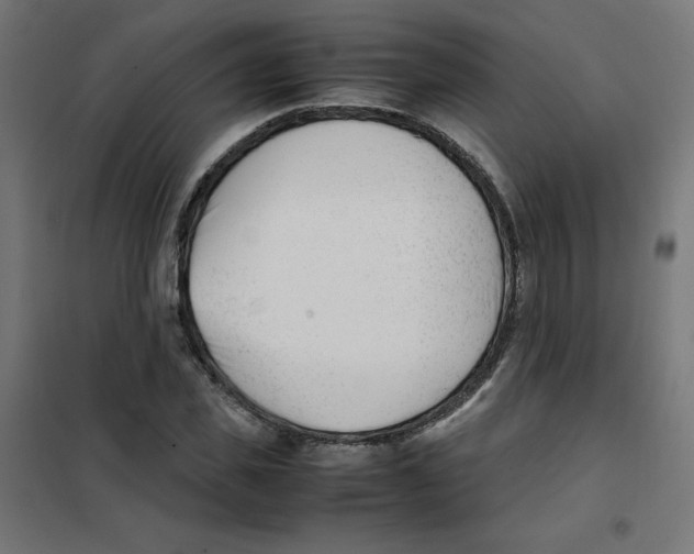 X0000101660925200808071017
